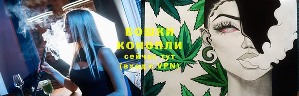 мдпв Бронницы