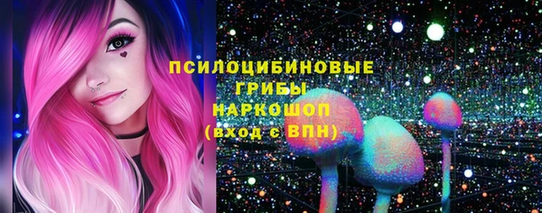 мдпв Бронницы