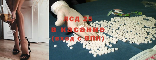 ГАЛЛЮЦИНОГЕННЫЕ ГРИБЫ Туринск